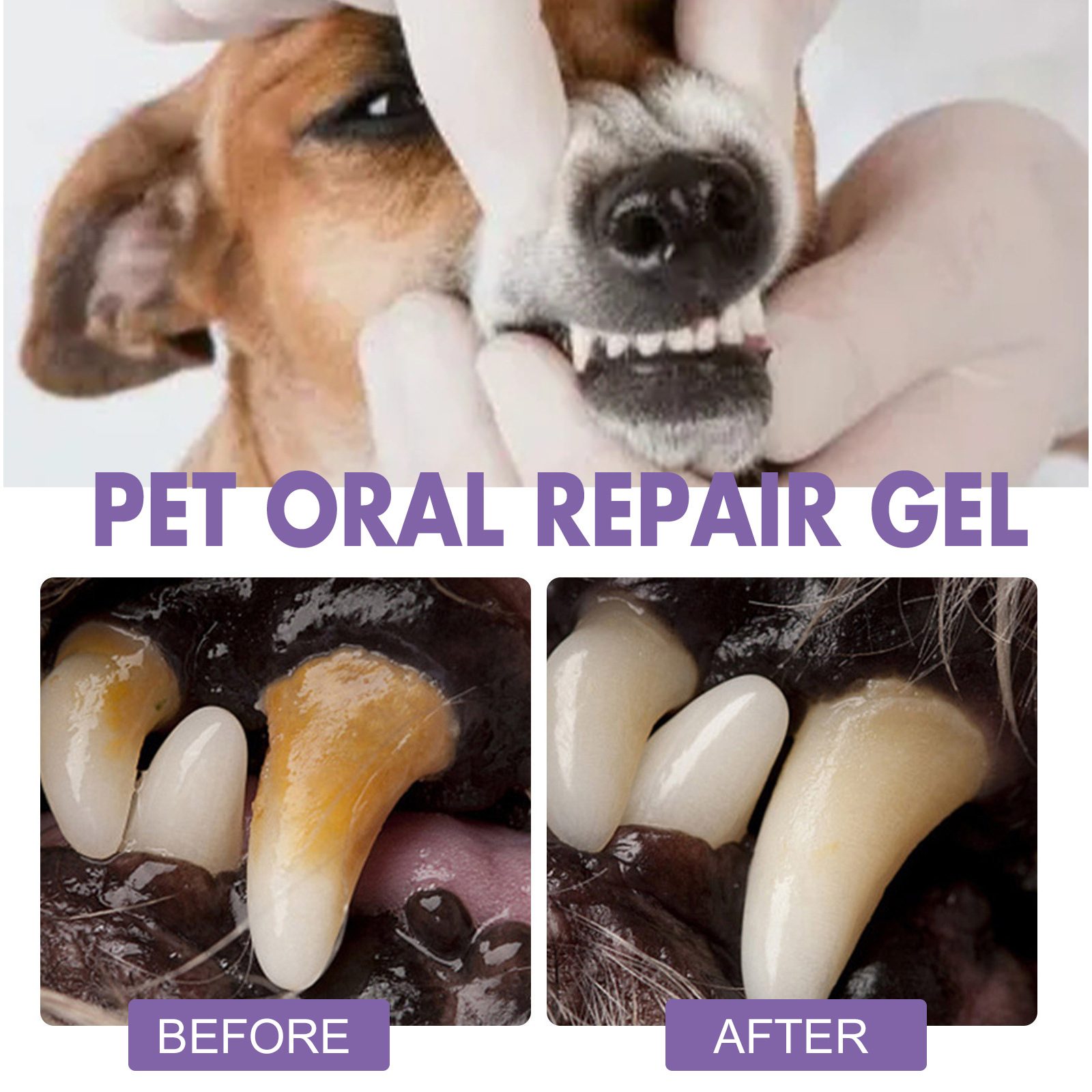 สัตว์เลี้ยง Oral Repair GEL Pu - Teeth Whitening Hismile บทวิจารณ์และราคา